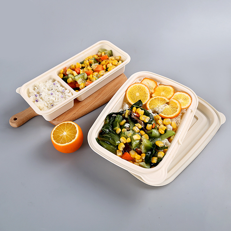 Eco friendly BPA gratuito di bento da pranzo da asporto scatola di imballaggio biodegradabile contenitore per alimenti